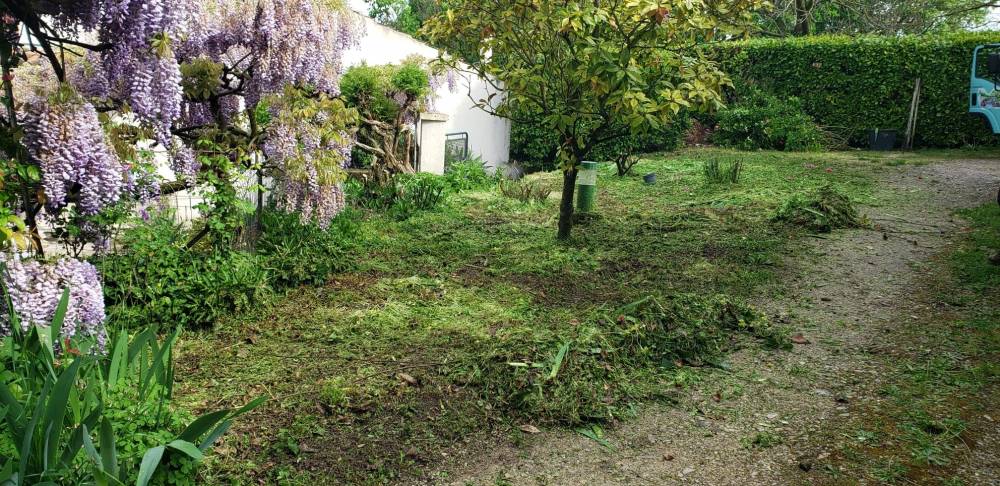 allee jardin debroussaillage glycine floraison.jpg